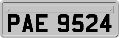 PAE9524