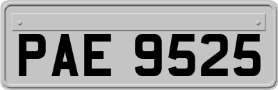 PAE9525