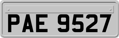 PAE9527