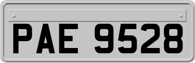 PAE9528