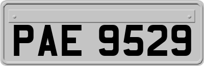 PAE9529