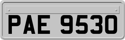PAE9530