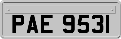 PAE9531