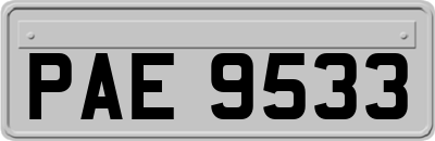 PAE9533