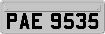 PAE9535