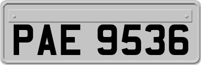 PAE9536