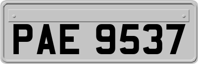 PAE9537