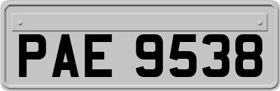 PAE9538