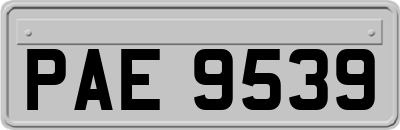 PAE9539