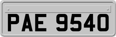 PAE9540