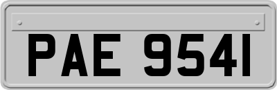 PAE9541
