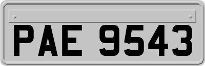 PAE9543
