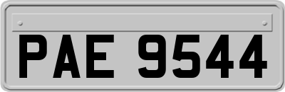 PAE9544