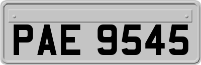 PAE9545