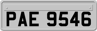 PAE9546