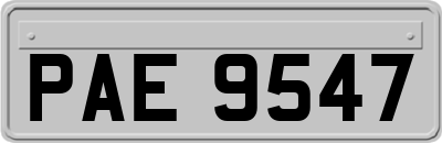 PAE9547