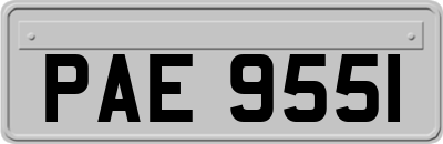 PAE9551