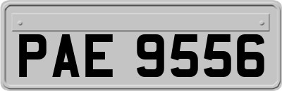 PAE9556