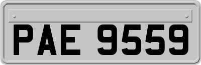 PAE9559