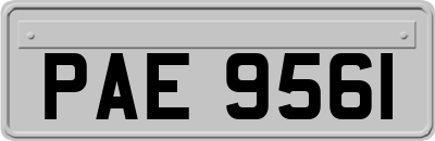PAE9561
