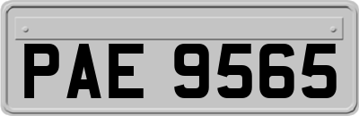 PAE9565