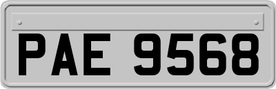 PAE9568