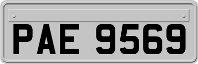 PAE9569