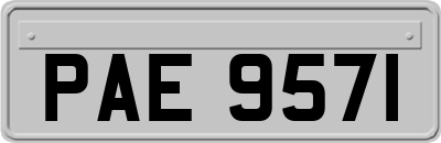 PAE9571