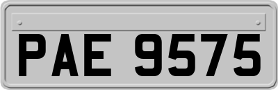 PAE9575