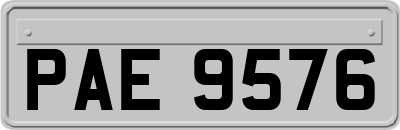 PAE9576
