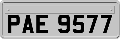PAE9577