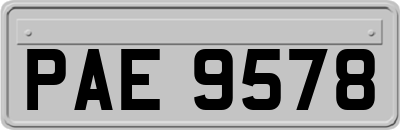 PAE9578