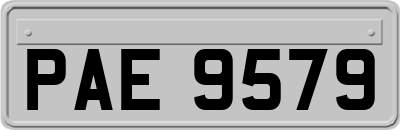 PAE9579