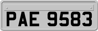 PAE9583