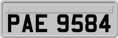 PAE9584
