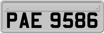 PAE9586