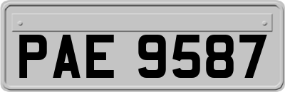 PAE9587