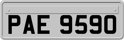 PAE9590
