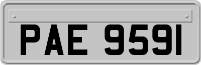 PAE9591