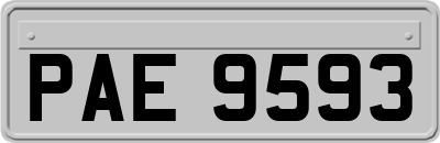 PAE9593