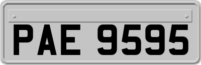 PAE9595