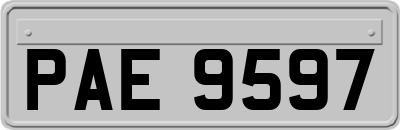 PAE9597