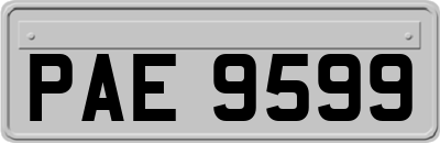 PAE9599