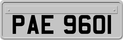 PAE9601