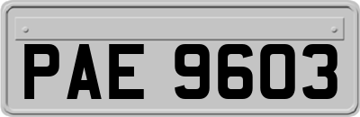 PAE9603