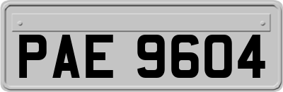 PAE9604