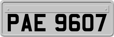PAE9607
