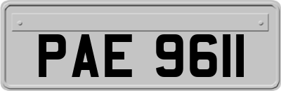 PAE9611