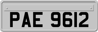 PAE9612