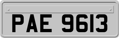 PAE9613
